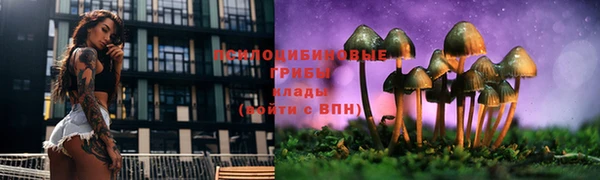 трава Нягань