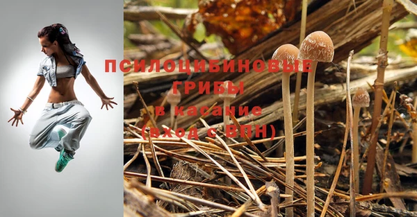 крисы Нязепетровск