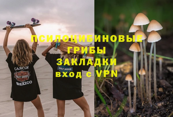 крисы Нязепетровск