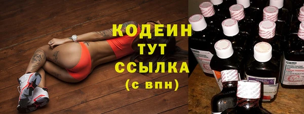 прущий лед Няндома