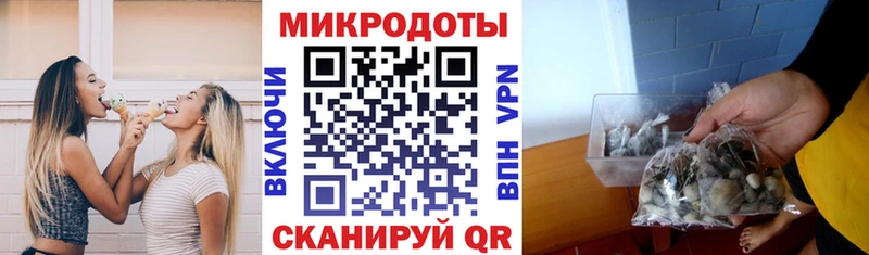 Галлюциногенные грибы мицелий  Купить где  Зуевка 