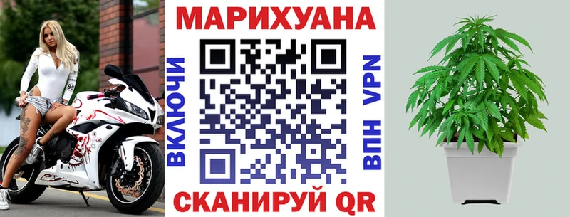 Купить где  Зуевка  Марихуана марихуана 